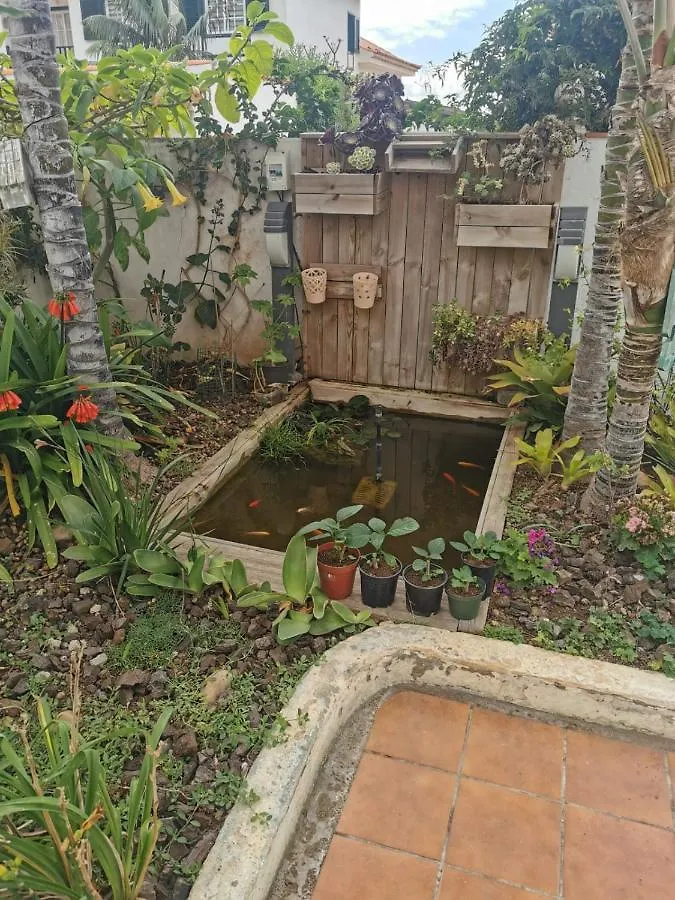 Apartamento jardin44 Santa Úrsula 0*,  España